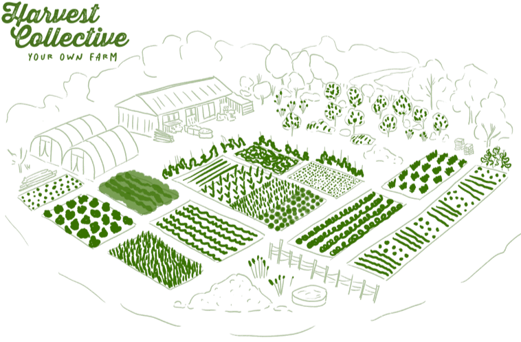 artist impression of harvest collective regenerative farm